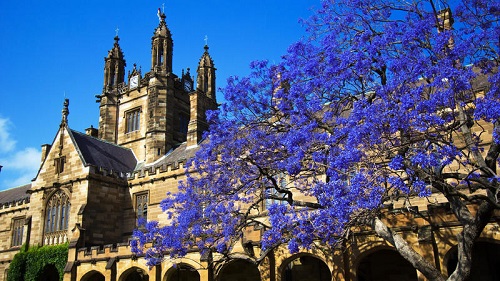 悉尼大学考虑对留学生强制开设英文必修课