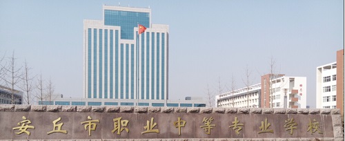 学校教育