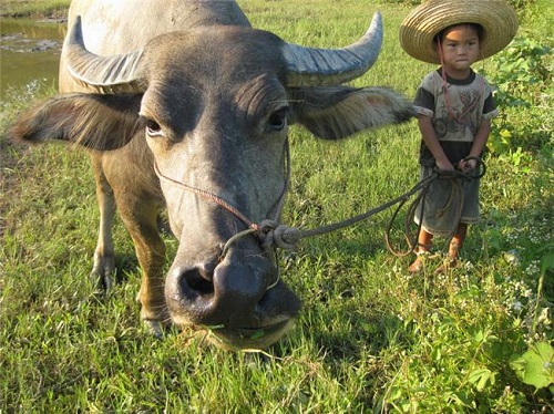 加措:让每个孩子都能接受教育_中国少年国学院_未来网